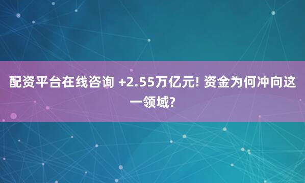 配资平台在线咨询 +2.55万亿元! 资金为何冲向这一领域?