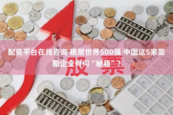 配资平台在线咨询 稳居世界500强 中国这5家聚酯企业有何“秘籍”？